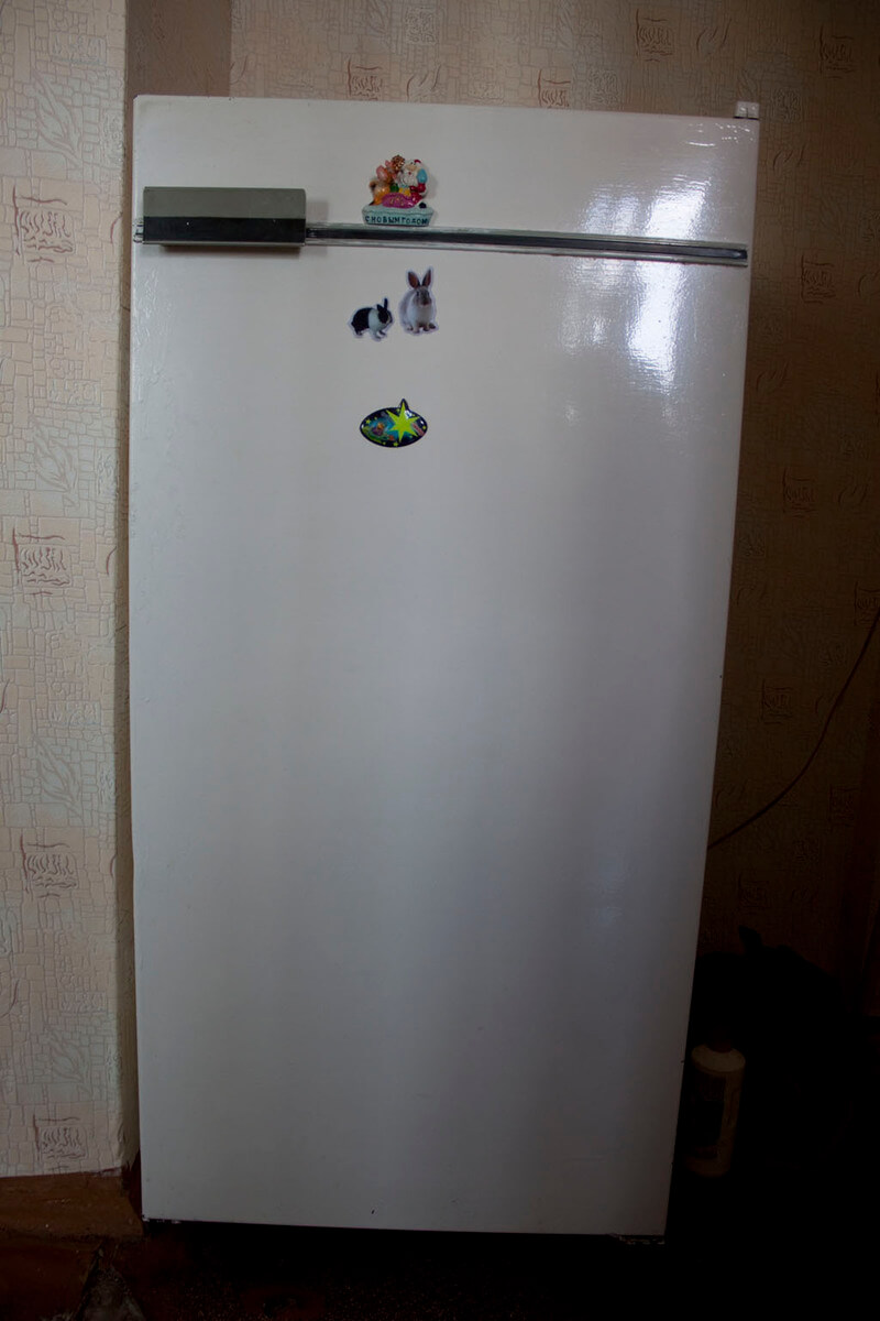 Ремонт холодильников Бирюса
