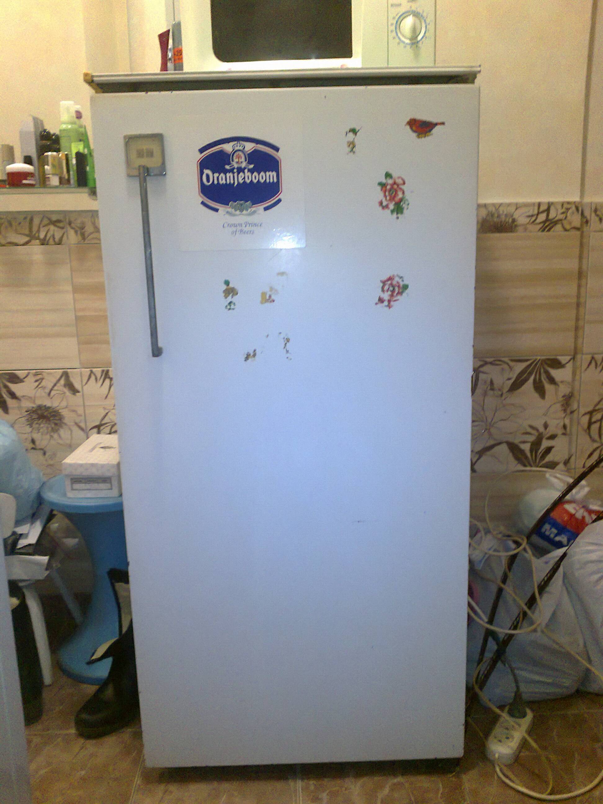 Ремонт холодильников Ока
